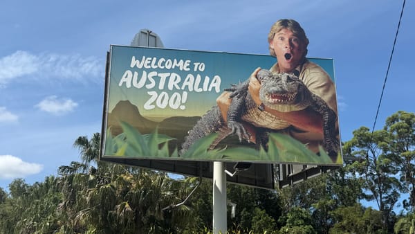 Did You Ever Wonder What Became of Dead Zoo Animals?
